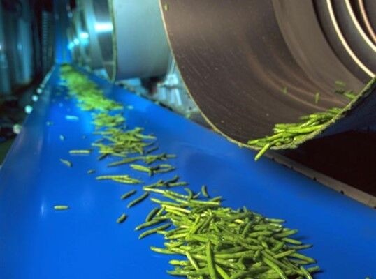 食品輸送帶,ReoClean 易潔帶可以輸送哪些食品