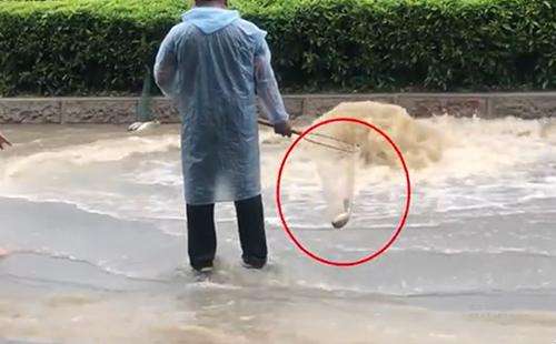 輸送帶廠家:廣州雨后內(nèi)澇嚴(yán)重,路人當(dāng)街捕魚