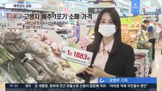 食品輸送帶廠家:韓國大白菜漲價至62元一棵怎么回事