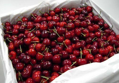 輸送帶廠家：女子5天吃6斤車(chē)?yán)遄又卸驹趺椿厥?></a>
												</div>
																							<div   id=