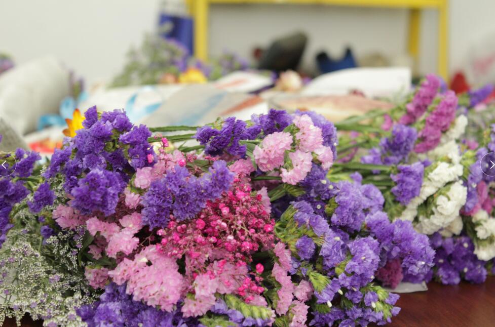 三八女神節(jié)，擎川給女神們送上驚喜！