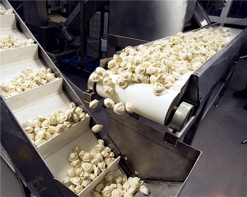 食品行業(yè)為什么選擇PU聚氨酯食品輸送帶？