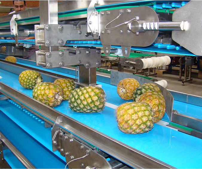 工業(yè)輸送帶的應用領域有哪些