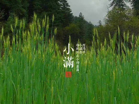 今日小滿，擎川與你一起靜待美滿！