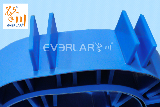 藍(lán)色PU輸送帶加擋板耐腐蝕食品級海鮮分揀機(jī)專配傳輸帶廠家定制