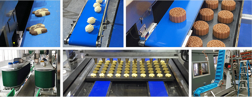 PE輸送帶案例 PE輸送帶案例