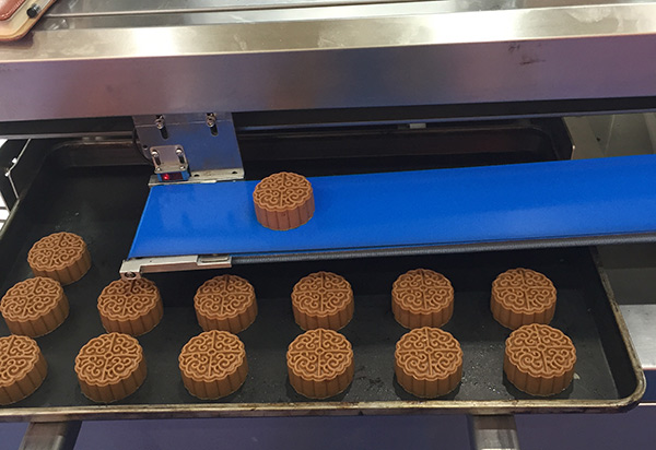 PVC工業(yè)輸送帶 PVC工業(yè)輸送帶