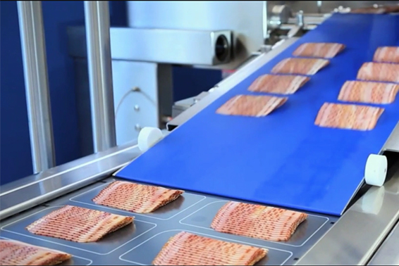 食品輸送帶 食品輸送帶