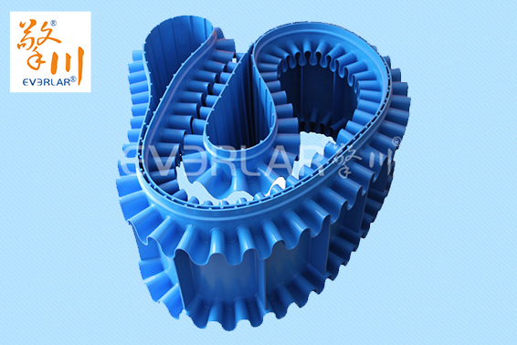 1641889983536664.jpg 海鮮水產輸送帶