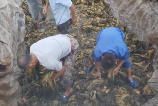 食品輸送帶：“土坑酸菜”11家企業(yè)復(fù)工，消費(fèi)者還買單嗎