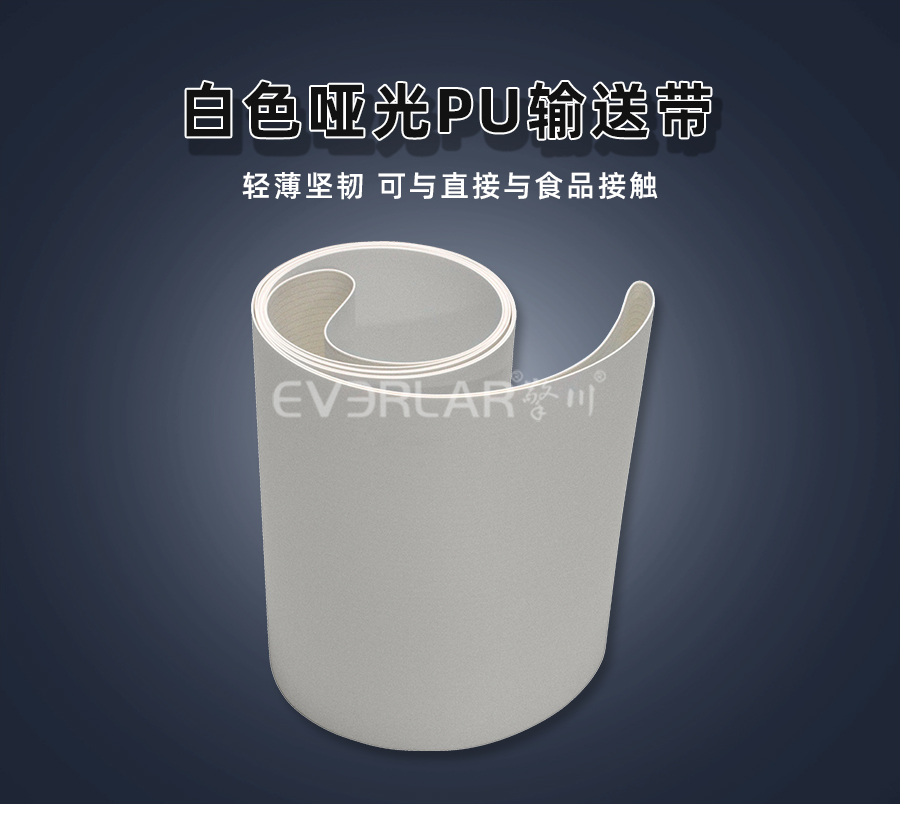 1666688755649617.jpg 輸送帶PU模板_01.jpg