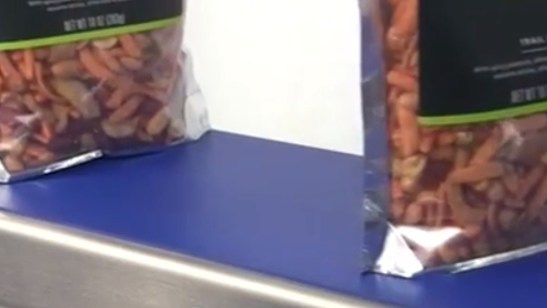 1770177006956365.jpg 藍(lán)色PU輸送帶輸送.jpg