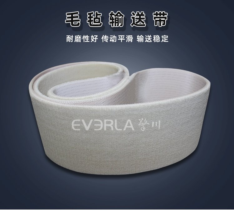 毛氈輸送帶.jpg
